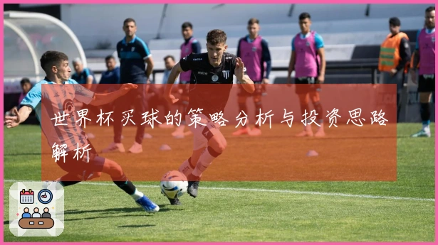 世界杯买球的策略分析与投资思路解析