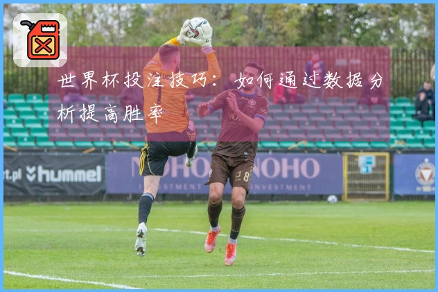 世界杯投注技巧：如何通过数据分析提高胜率