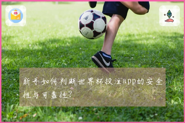 新手如何判断世界杯投注app的安全性与可靠性？