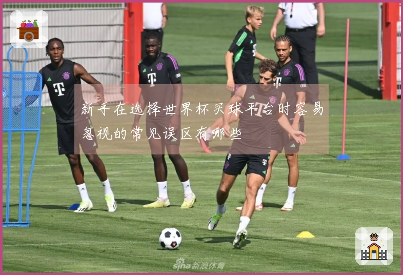 新手在选择世界杯买球平台时容易忽视的常见误区有哪些