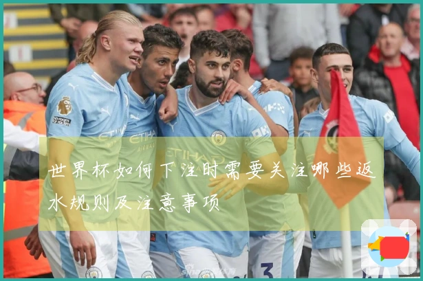 世界杯如何下注时需要关注哪些返水规则及注意事项