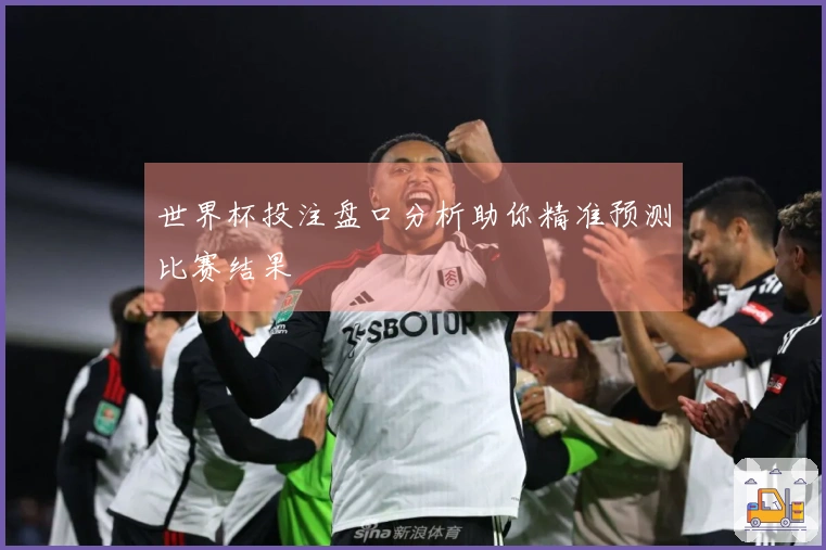 世界杯投注盘口分析助你精准预测比赛结果