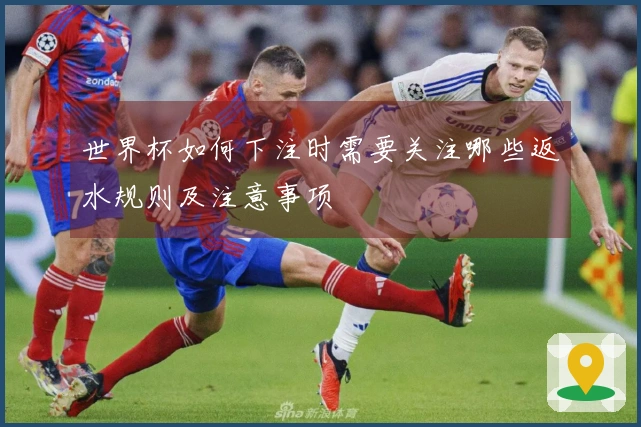 世界杯如何下注时需要关注哪些返水规则及注意事项