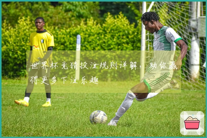 世界杯竞猜投注规则详解，助你赢得更多下注乐趣