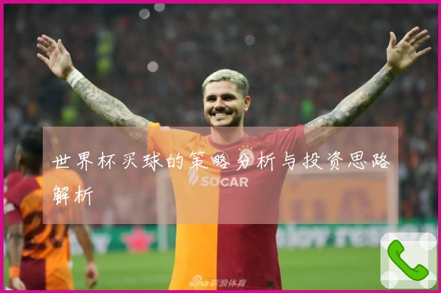 世界杯买球的策略分析与投资思路解析