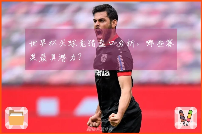 世界杯买球竞猜盘口分析，哪些赛果最具潜力？
